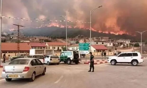 Wildfires kill at least 26 in eastern Algeria Wildfires kill at least 26 in eastern Algeria
