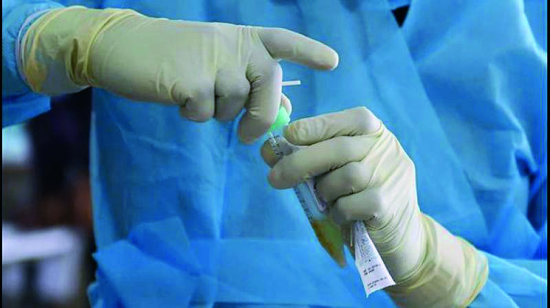Dengue: Over 4K cases reported in state so far, alert issued to districts Dengue: Over 4K cases reported in state so far, alert issued to districts