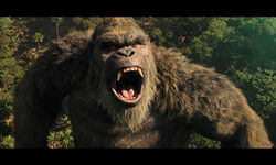 King Kong live-action series in the works at Disney+ King Kong live-action series in the works at Disney+