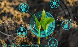 A key to sustainable economy