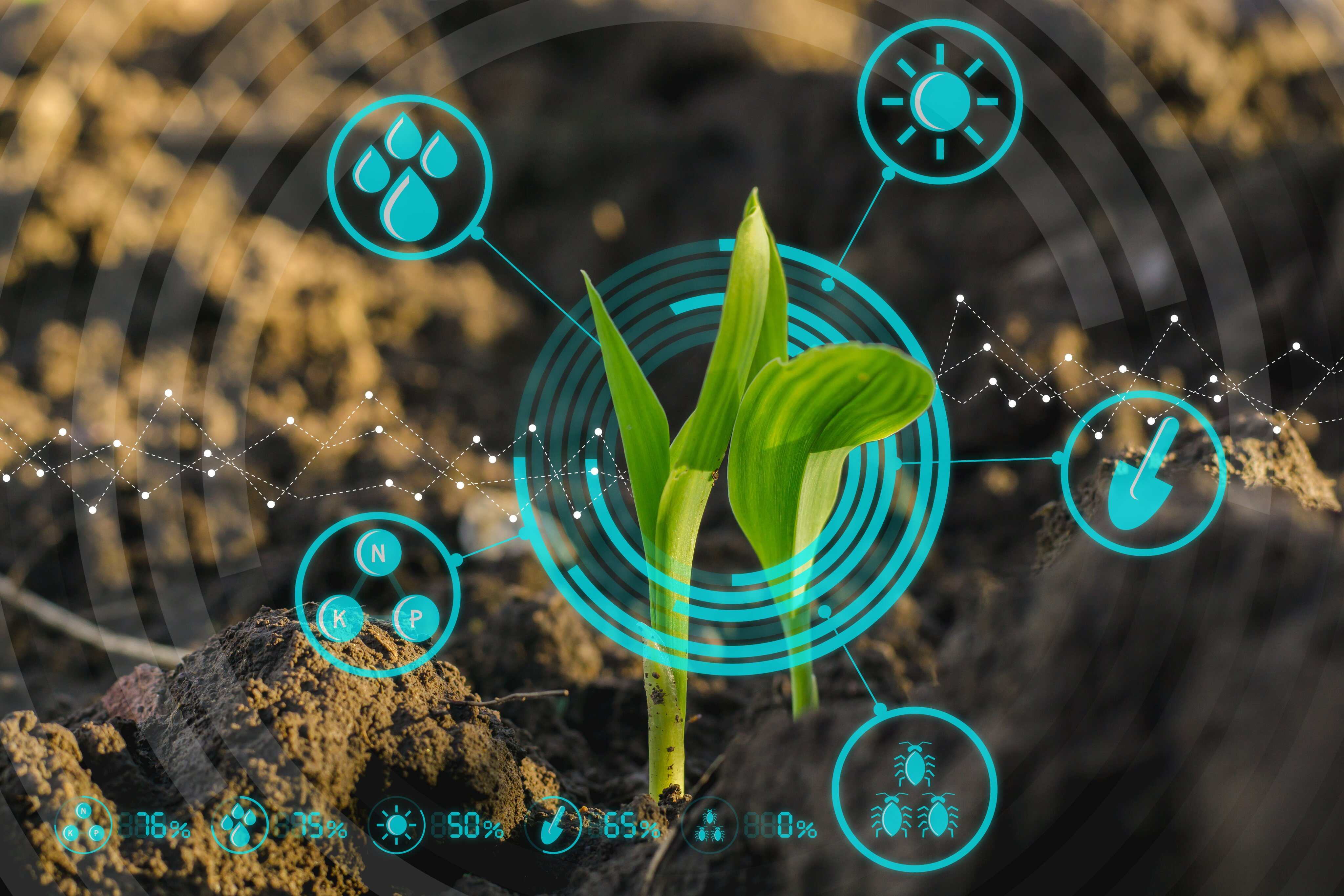 A key to sustainable economy A key to sustainable economy