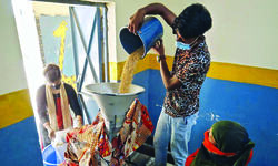 Govt to restrict wheat flour export to cool prices Govt to restrict wheat flour export to cool prices