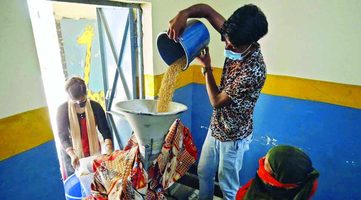 Govt to restrict wheat flour export to cool prices