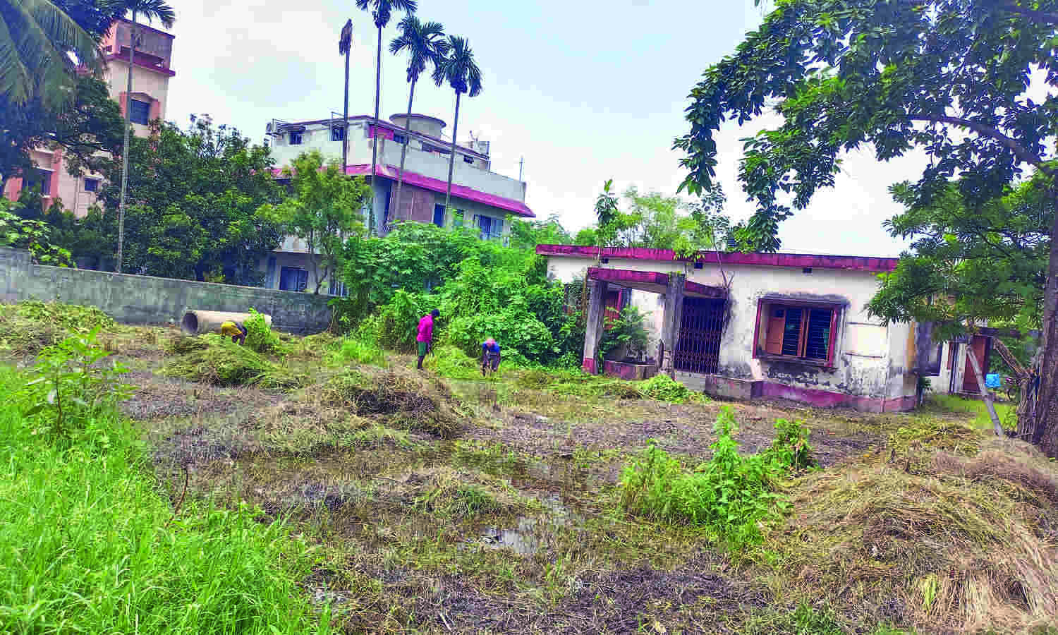 Councillors ideas for effective use of health centres vacant land in Garfa area