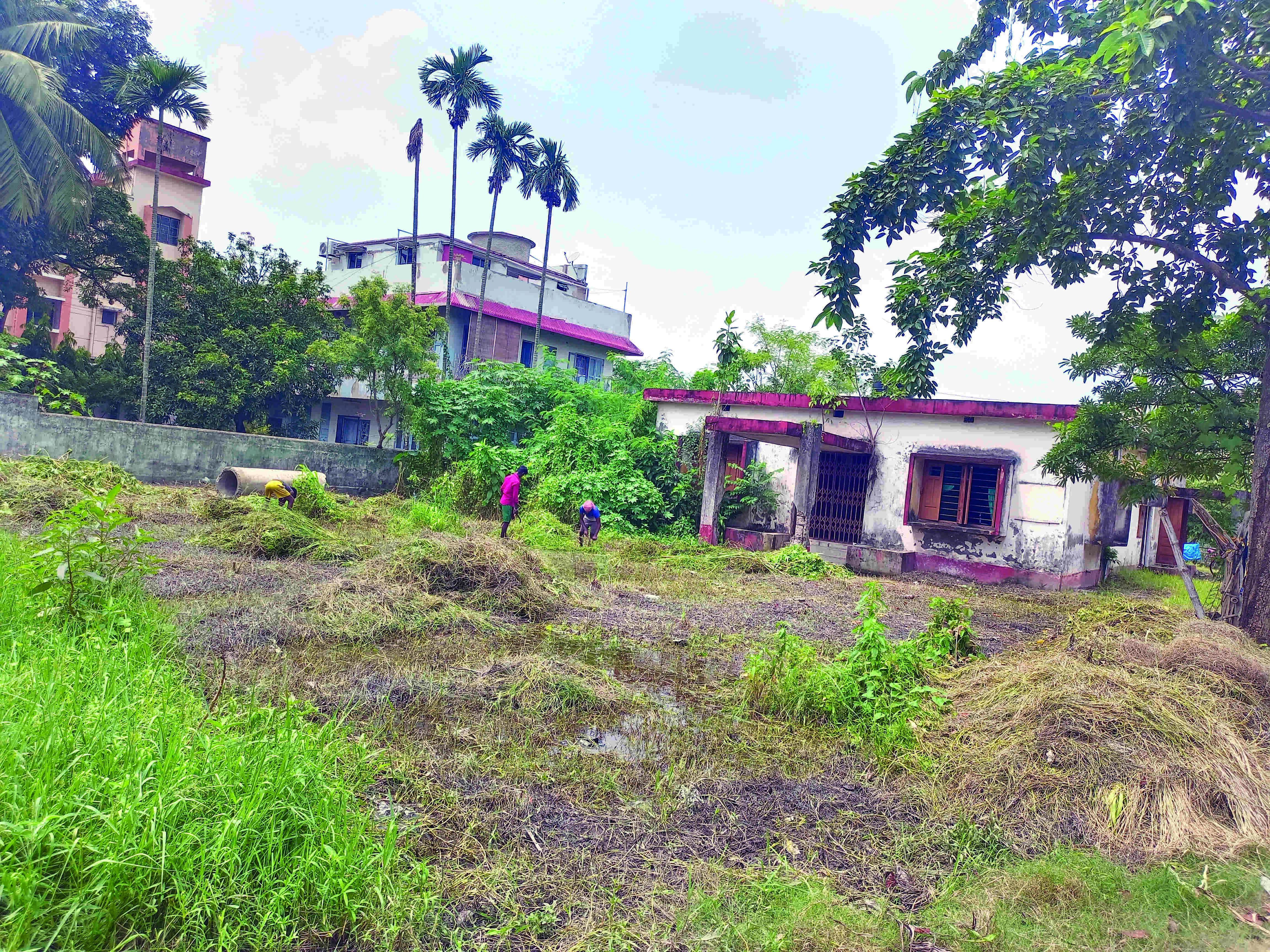 Councillors ideas for effective use of health centres vacant land in Garfa area