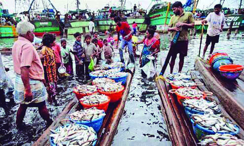 Seafood export: Bengal generates additional revenue worth over Rs 1147 cr during FY 2021-22 Seafood export: Bengal generates additional revenue worth over Rs 1147 cr during FY 2021-22