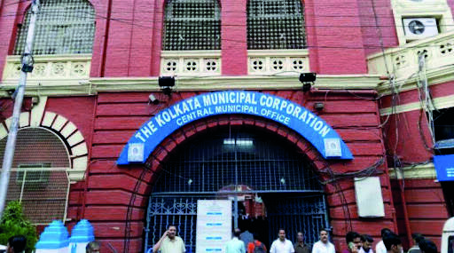 KMC to urge MSME dept to use water hyacinths in city ponds for manufacturing cane-like object