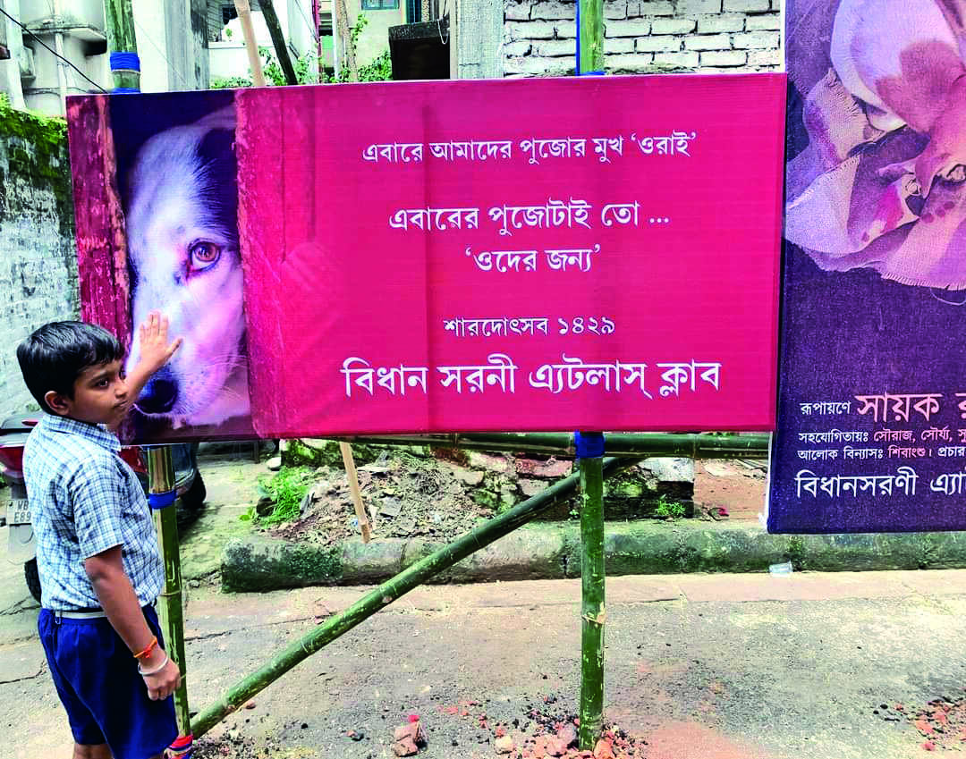 This year, pets allowed at two Durga Puja pandals in Kolkata This year, pets allowed at two Durga Puja pandals in Kolkata