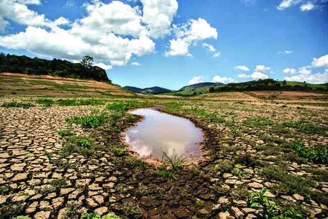 Bihar, UP, Jharkhand record deficit rains; paddy sowing hit