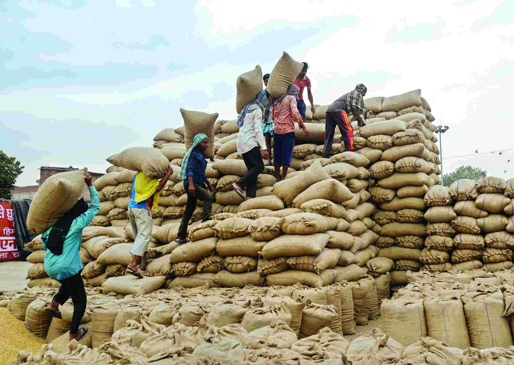 Indian economy grows 13.5% in April-June quarter Indian economy grows 13.5% in April-June quarter