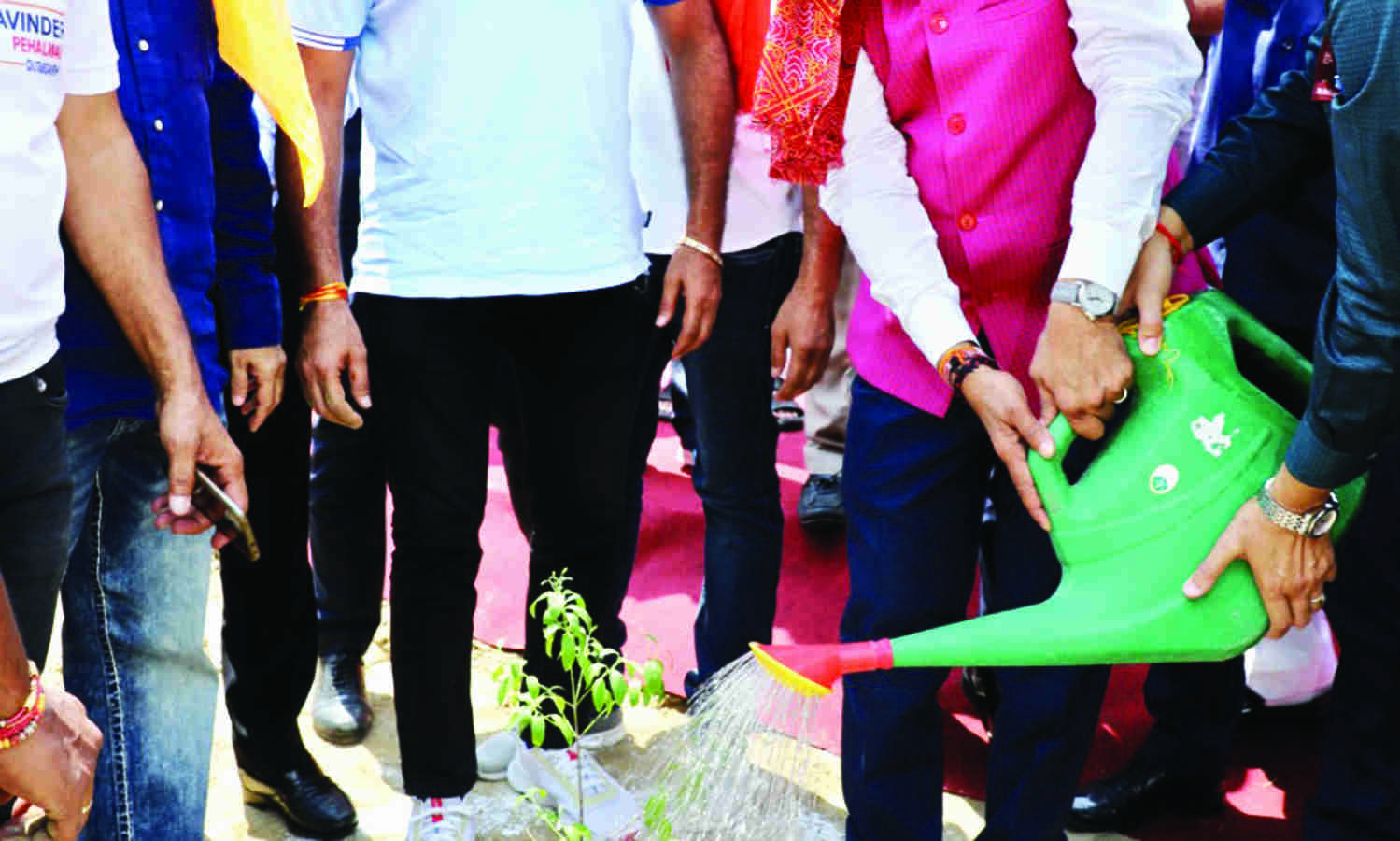 L-G launches sandalwood plantation drive in Delhi