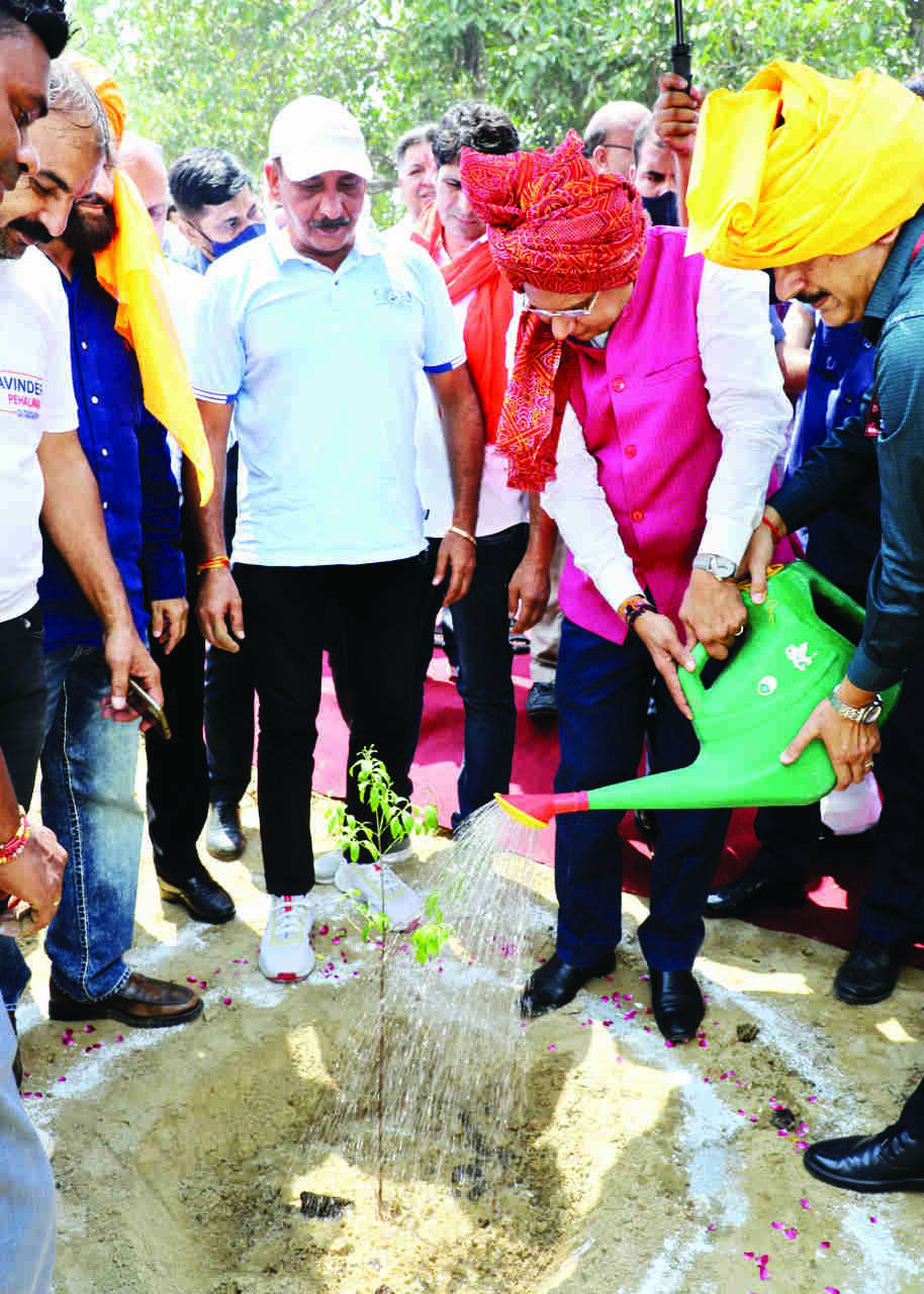 L-G launches sandalwood plantation drive in Delhi L-G launches sandalwood plantation drive in Delhi