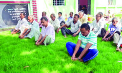 Greening the autumns Greening the autumns