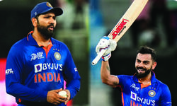 Bright spot amid ruins Bright spot amid ruins