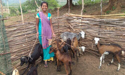 Nexus of Good: Messiah of marginalised Nexus of Good: Messiah of marginalised