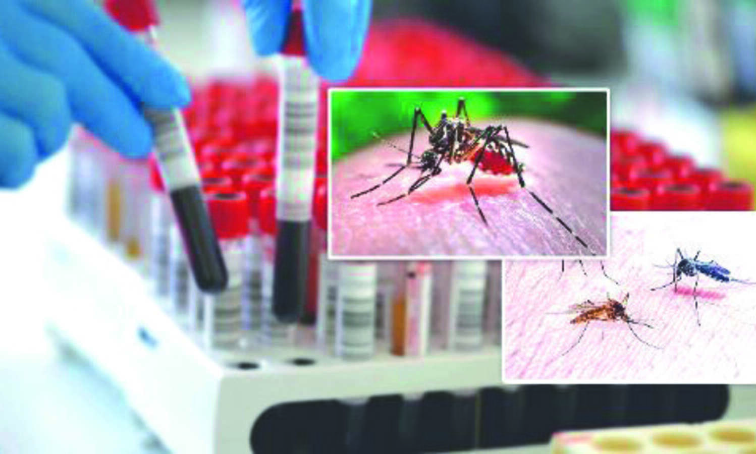 About 1,854 dengue cases detected in a week, N 24-Pgns worst-hit
