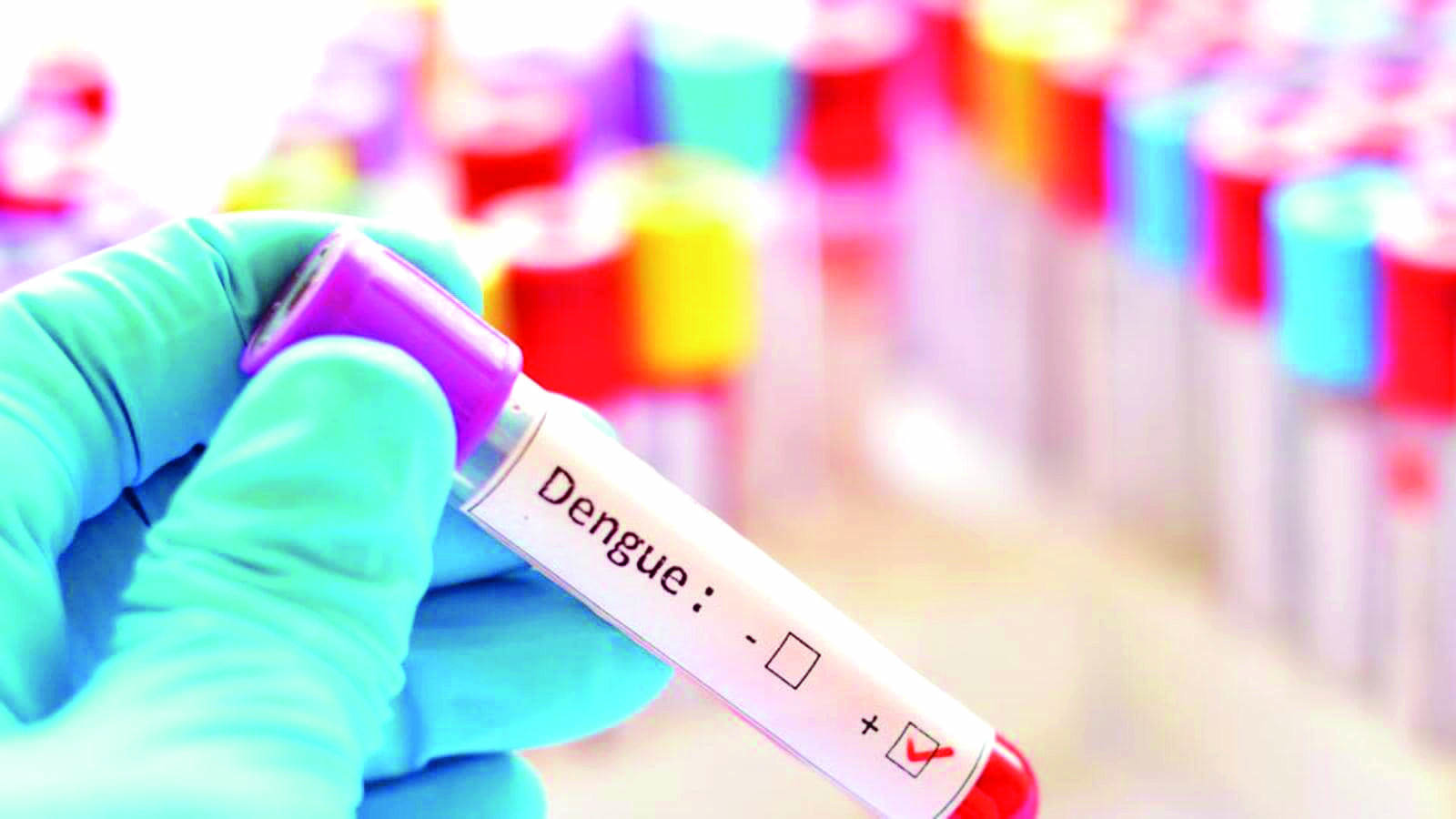 Kolkata among 20 venues for Ph-III clinical trial of dengue vax Kolkata among 20 venues for Ph-III clinical trial of dengue vax
