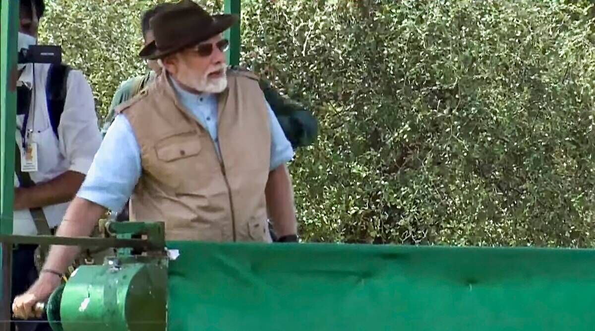 Project Cheetah our endeavour towards environment and wildlife conservation: PM Modi Project Cheetah our endeavour towards environment and wildlife conservation: PM Modi