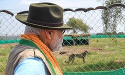 Kuno National Park has adequate space, prey base to house 20 to 25 cheetahs: MP forest officer Kuno National Park has adequate space, prey base to house 20 to 25 cheetahs: MP forest officer