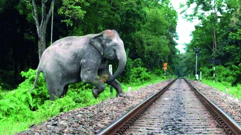 Sensitive points along 1,800 km of railway tracks identified Sensitive points along 1,800 km of railway tracks identified