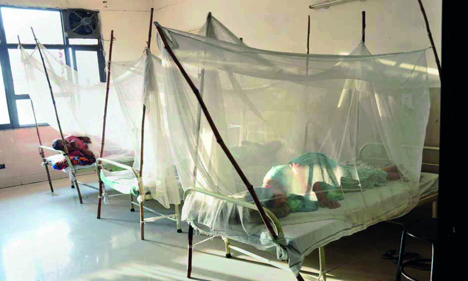 About 701 dengue cases & 1 death reported in past 24 hrs