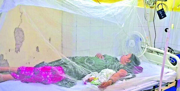 Block-level hosps must conduct dengue tests of patients with fever Block-level hosps must conduct dengue tests of patients with fever
