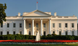 White House looking into recommendations to reduce Green Card adjudication and processing time White House looking into recommendations to reduce Green Card adjudication and processing time