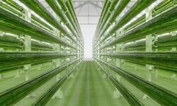 A viable alternative? A viable alternative?