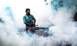 Bulk of dengue cases came in September; MCD says it is expected to get worse Bulk of dengue cases came in September; MCD says it is expected to get worse