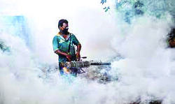Rapid response team set up to keep spread of dengue in check Rapid response team set up to keep spread of dengue in check
