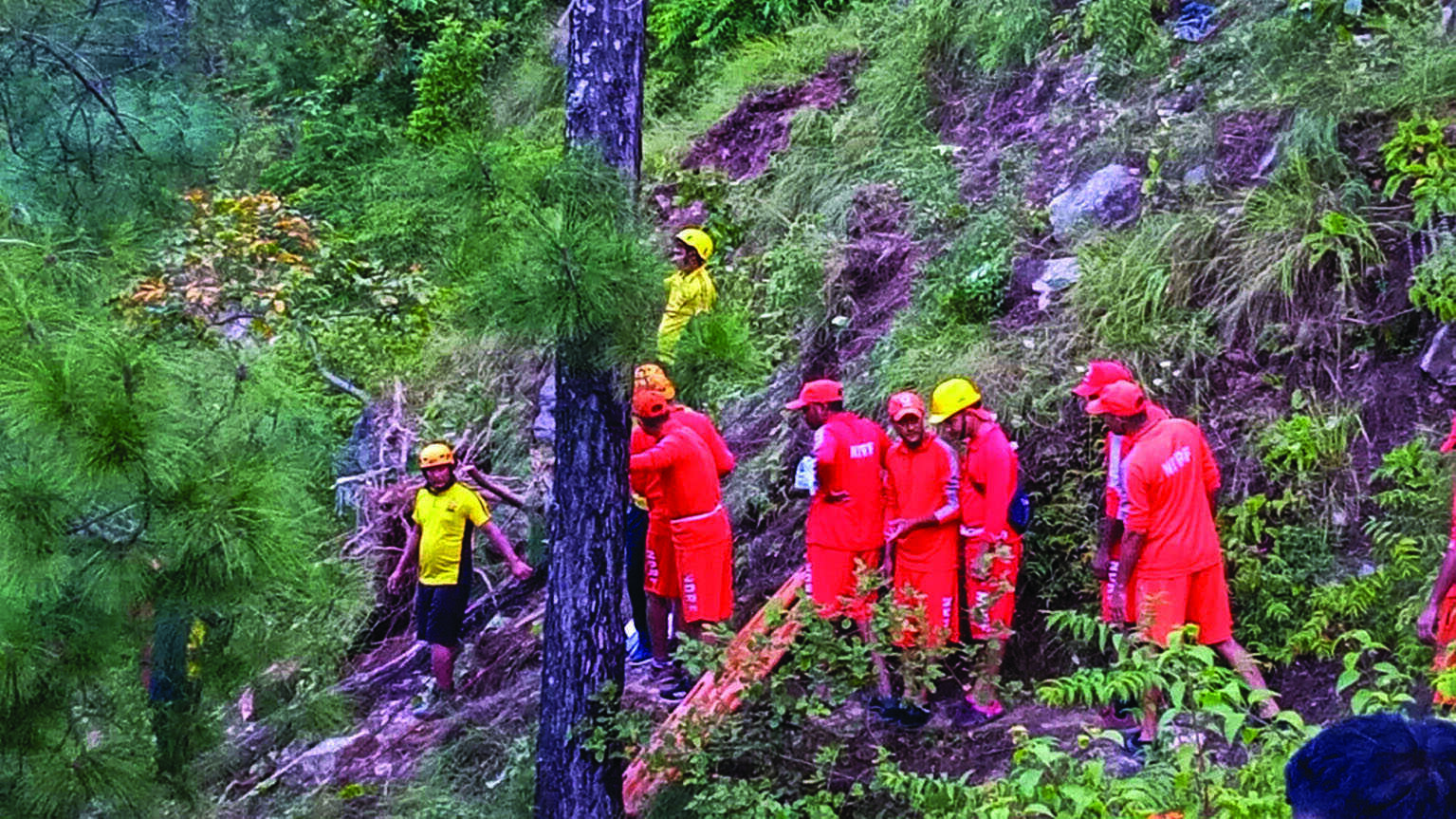 33 killed as bus falls into gorge in Uttarakhand 33 killed as bus falls into gorge in Uttarakhand
