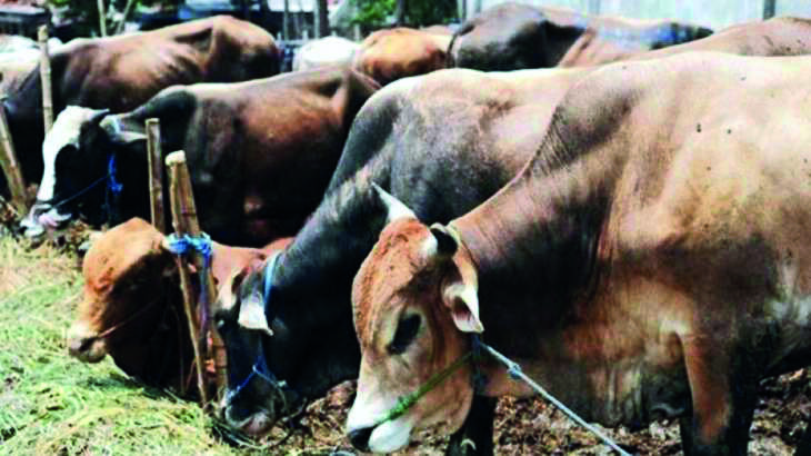Steps being taken to address possible shortages in future Steps being taken to address possible shortages in future