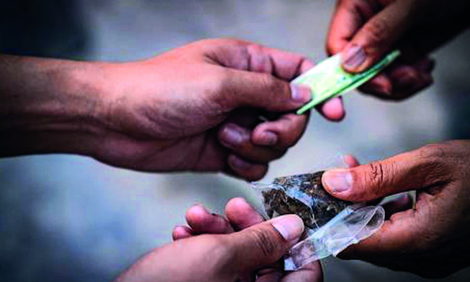NCB seizes mephedrone worth over Rs 120 cr