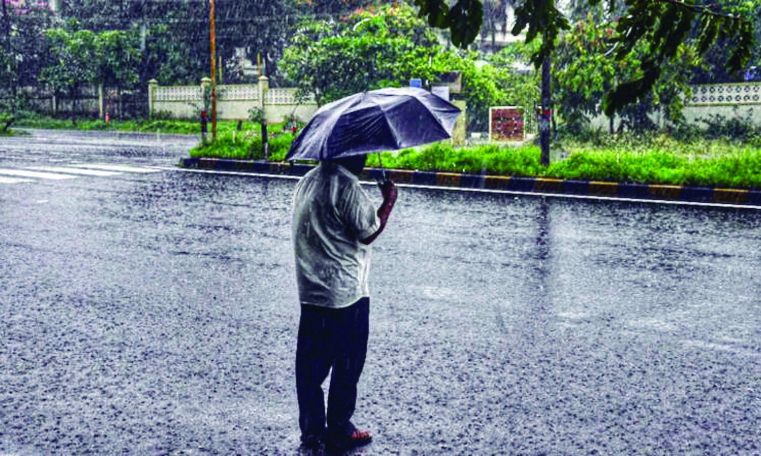 Light rains improve   air quality