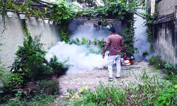 MCD intensifies fogging drive MCD intensifies fogging drive