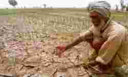 Punjab farmers shifting to sustainable ways of getting rid of crop residue Punjab farmers shifting to sustainable ways of getting rid of crop residue