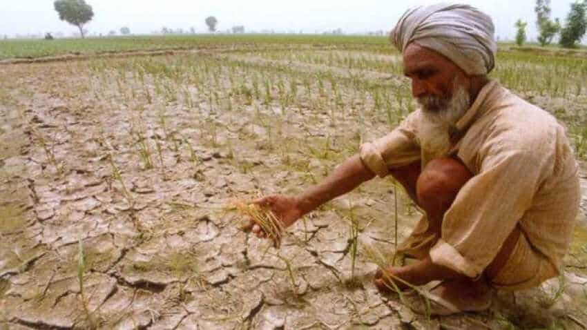 Punjab farmers shifting to sustainable ways of getting rid of crop residue Punjab farmers shifting to sustainable ways of getting rid of crop residue