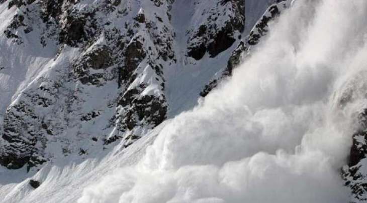 Uttarkashi avalanche: Five more bodies discovered, brought back to camp in Matli Uttarkashi avalanche: Five more bodies discovered, brought back to camp in Matli
