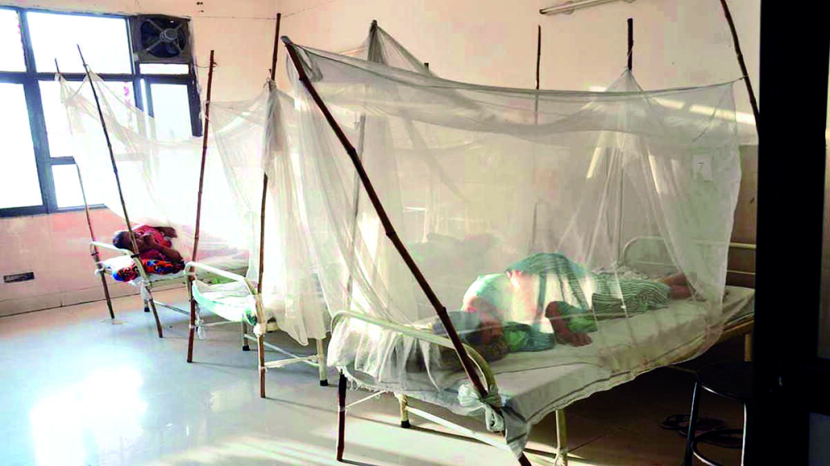 About 662 dengue cases reported in Bengal in the past 24 hours About 662 dengue cases reported in Bengal in the past 24 hours