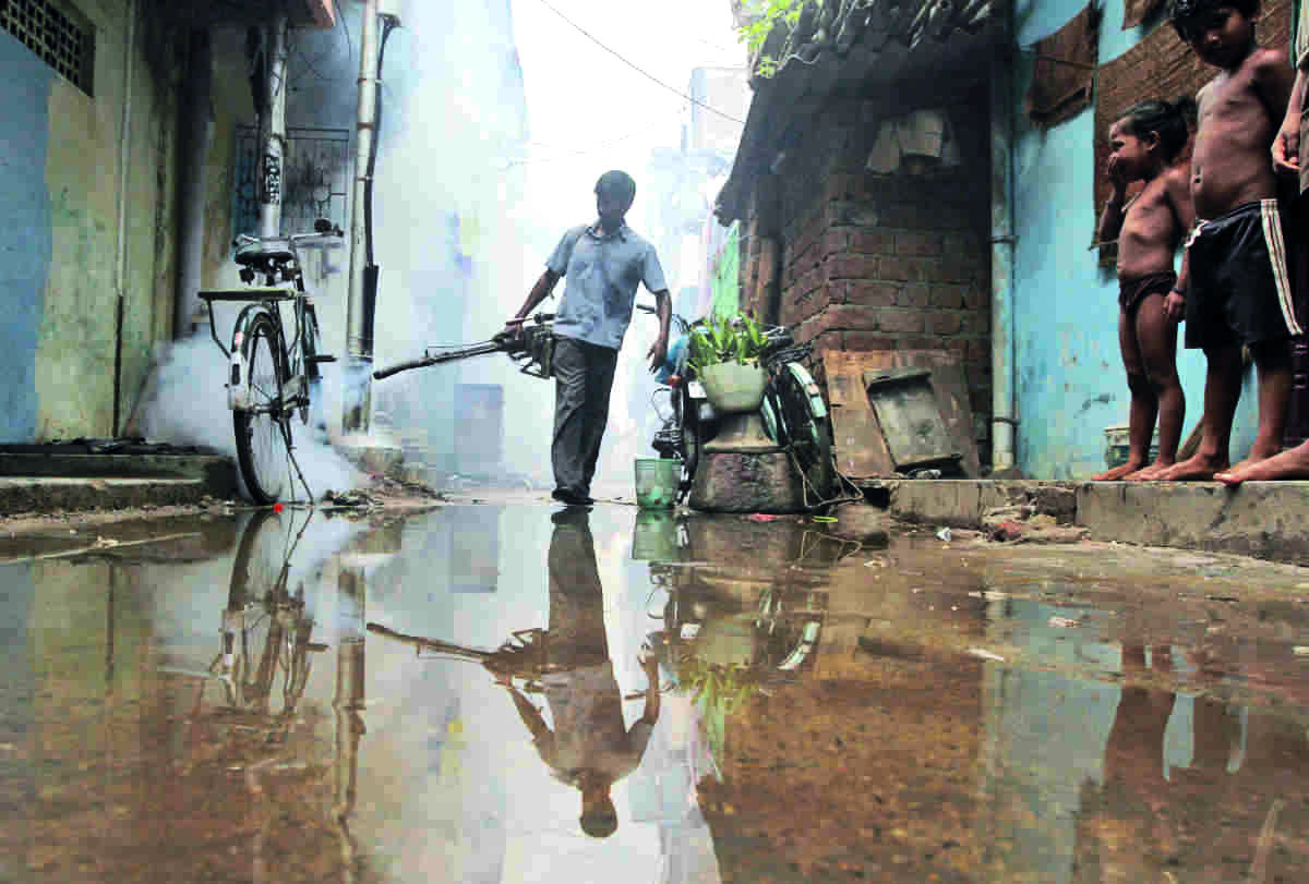 One more dies of dengue in city, toll rises to 11 so far this yr One more dies of dengue in city, toll rises to 11 so far this yr