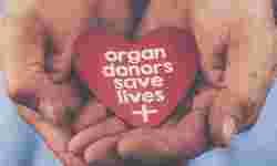 Take the pledge Take the pledge