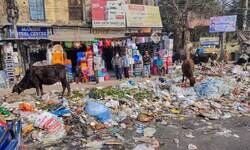 Garbage pile up in different areas as MCD sanitation workers indefinite strike enters 2nd day Garbage pile up in different areas as MCD sanitation workers indefinite strike enters 2nd day