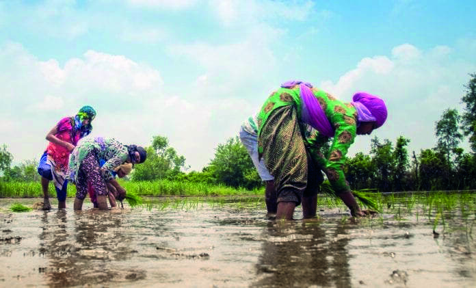 Bangla Shashya Bima: State pushes to fast-track process to handover insurance