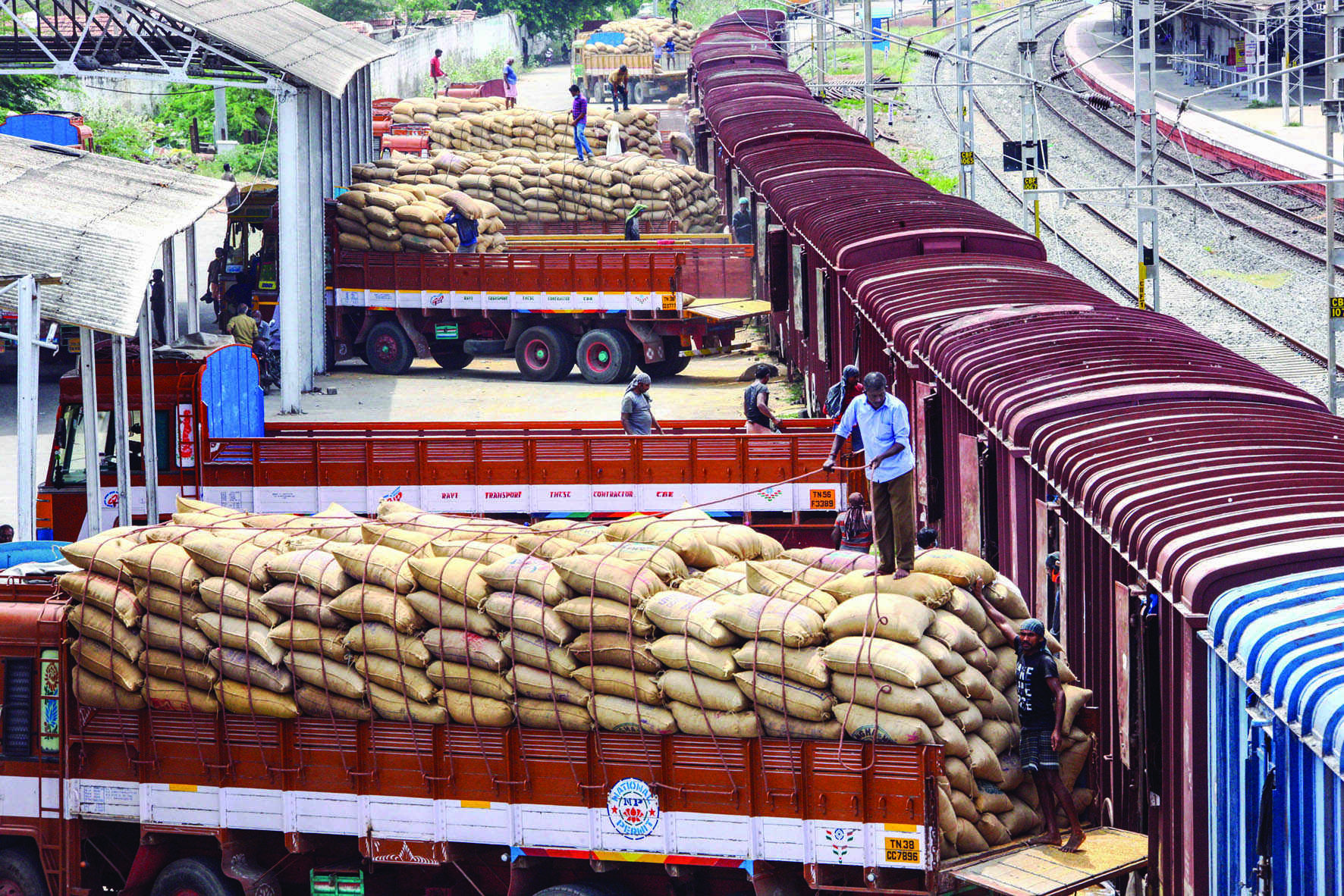 Govt hikes wheat MSP by Rs 110 to Rs 2,125/quintal Govt hikes wheat MSP by Rs 110 to Rs 2,125/quintal