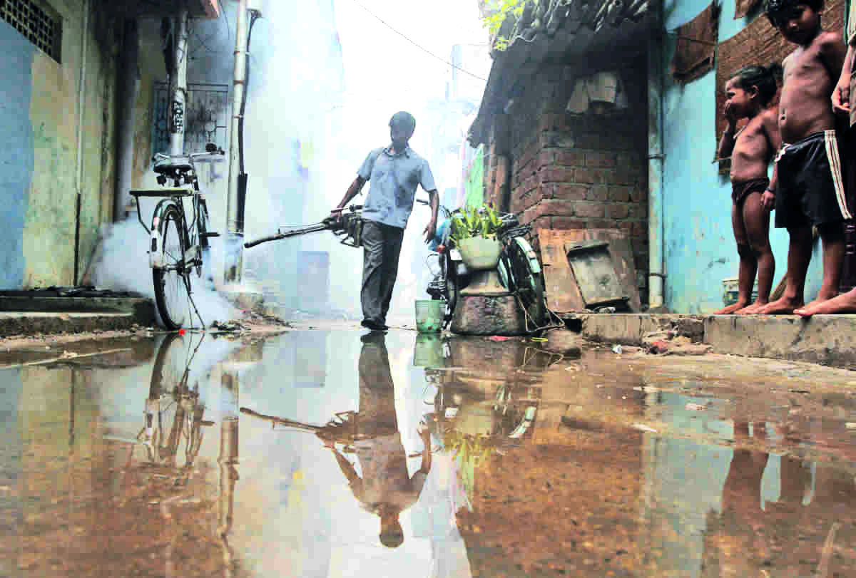 More than 1,000 dengue cases reported in Bengal in a day More than 1,000 dengue cases reported in Bengal in a day
