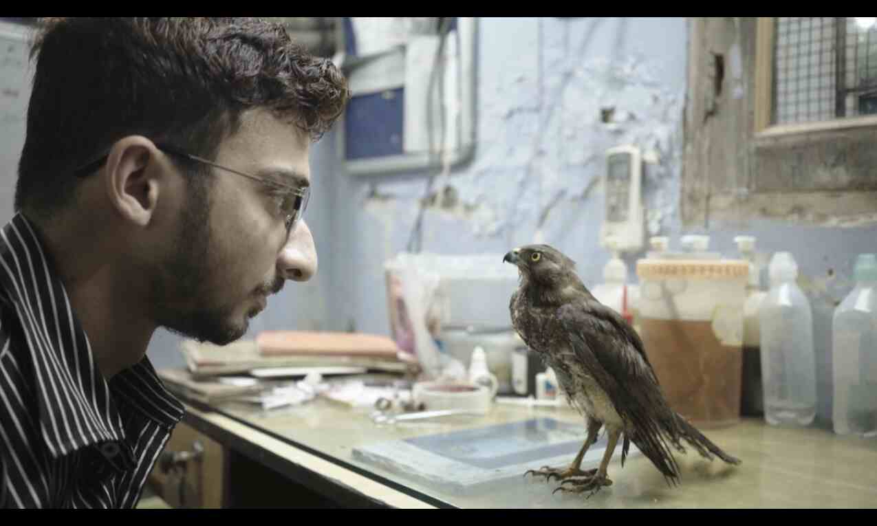 Dharamshala International Film Festival - 80 titles from 32 countries to be screened