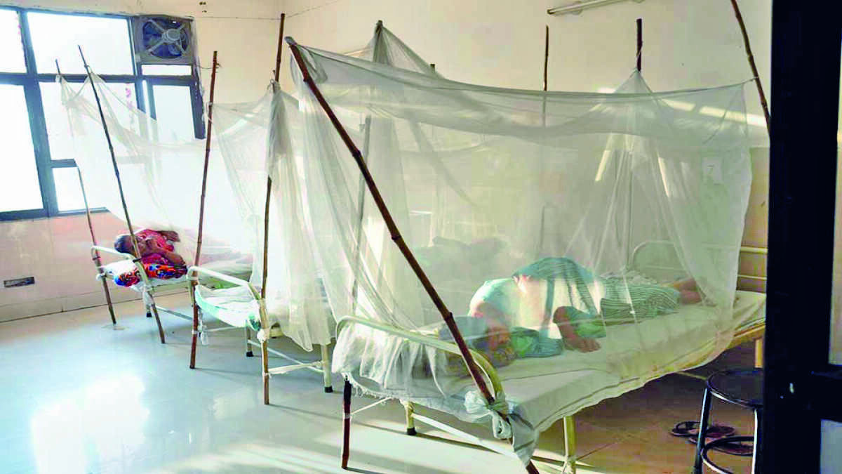 21-yr-old dies of dengue in city, toll rises to 13 21-yr-old dies of dengue in city, toll rises to 13