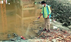 More mosquito breeding grounds in South Kolkata than North: KMC survey