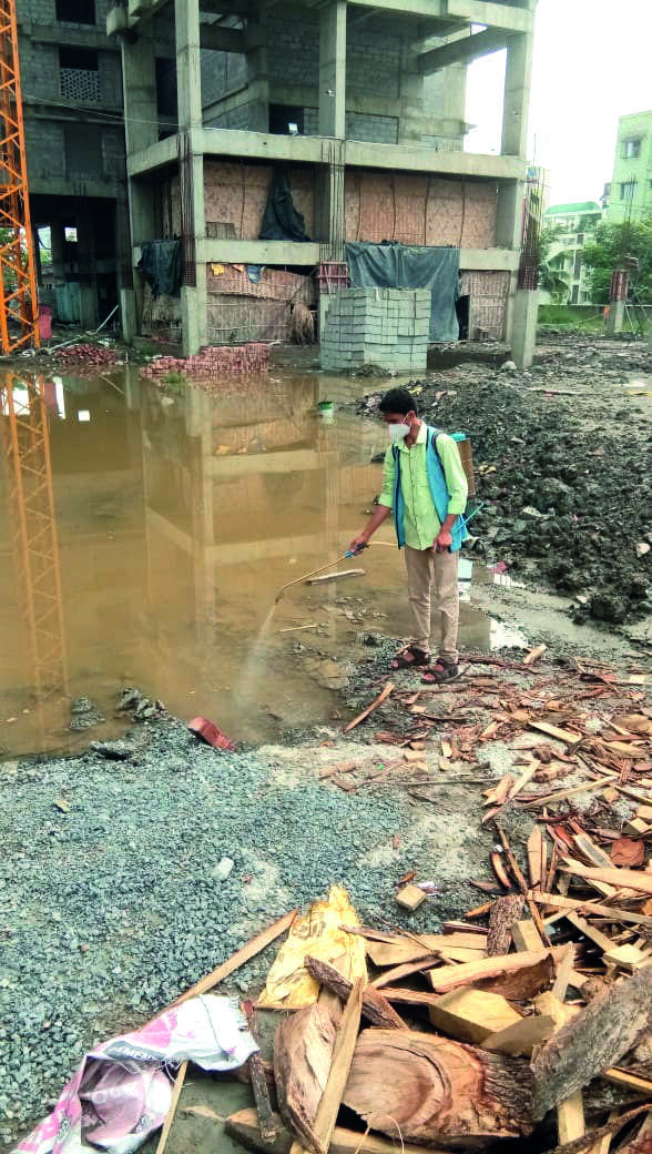 More mosquito breeding grounds in South Kolkata than North: KMC survey