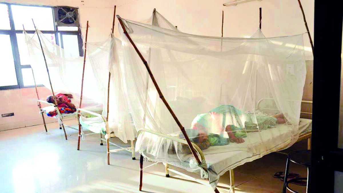 Dengue positivity rate remained between 14 & 17% in past few days Dengue positivity rate remained between 14 & 17% in past few days